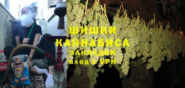 ПСИЛОЦИБИНОВЫЕ ГРИБЫ Протвино