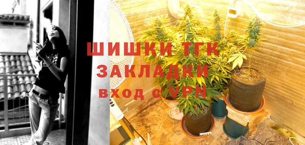 PSILOCYBIN Абаза