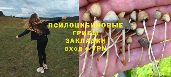 стафф Пролетарск