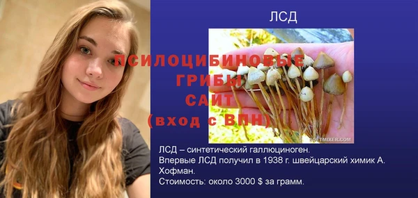 стафф Пролетарск