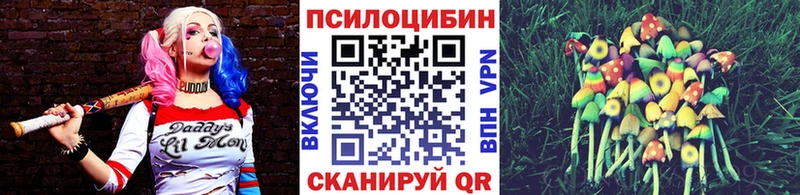 OMG как войти  Белёв  Галлюциногенные грибы GOLDEN TEACHER  где найти  